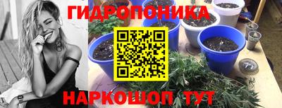 jwh Краснознаменск