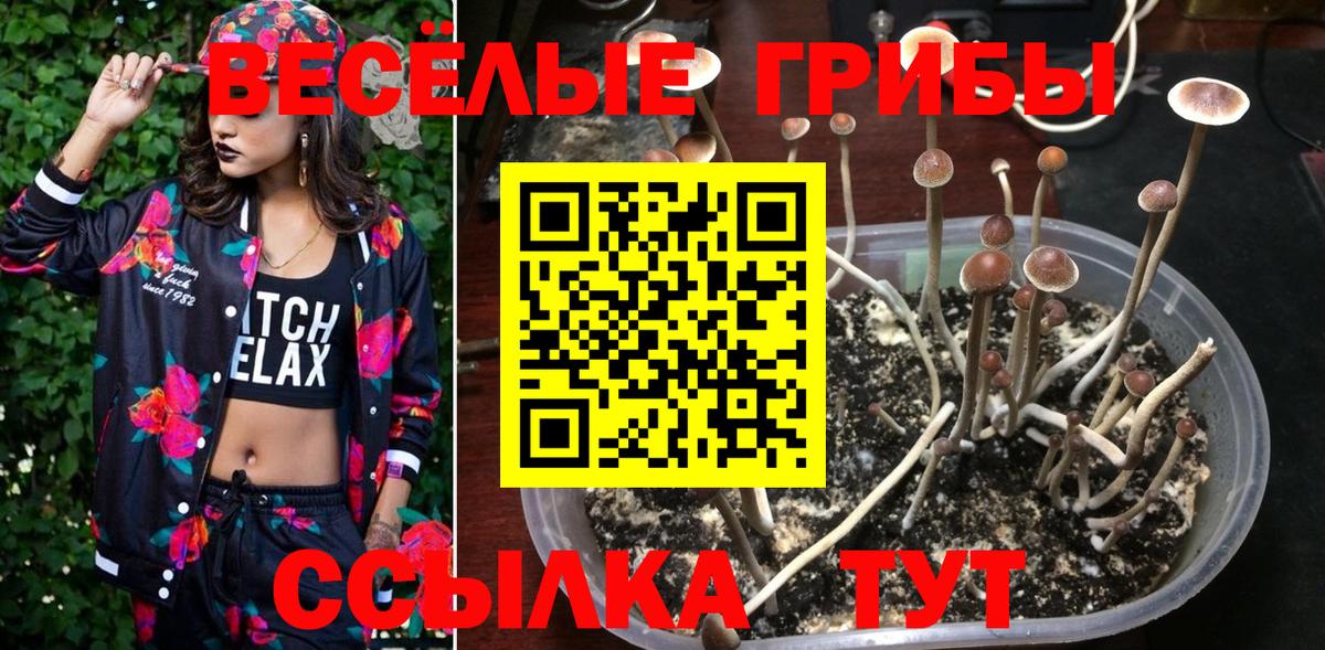 Галлюциногенные грибы ЛСД Канаш