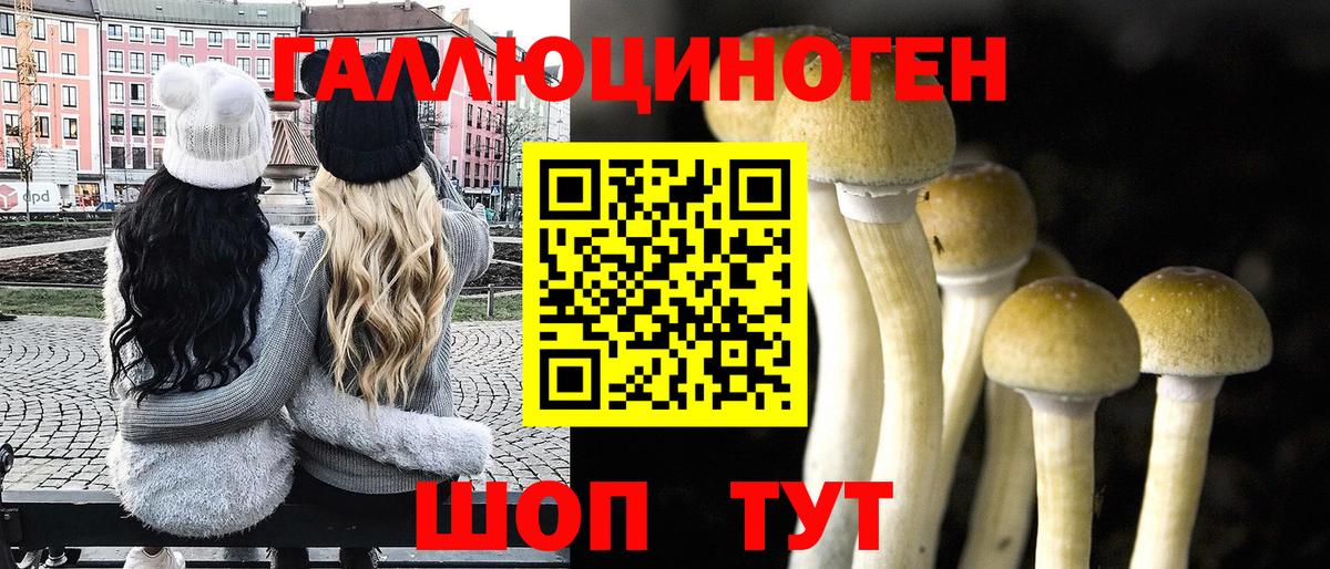 Канаш  цены   Вход с VPN  Галлюциногенные грибы Psilocybe 
